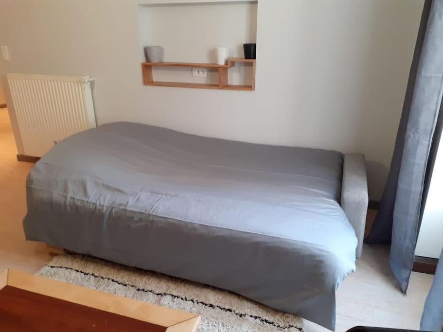 Appartement Hyper-Centre Issoire Εξωτερικό φωτογραφία